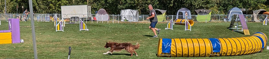 Agility_edited.jpg