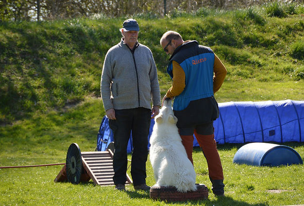 DSC_0161.jpg