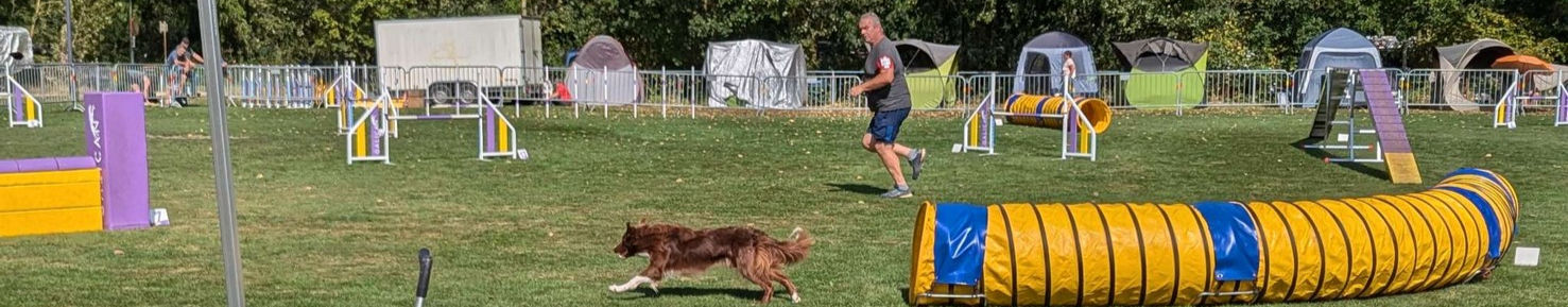 Agility_edited.jpg