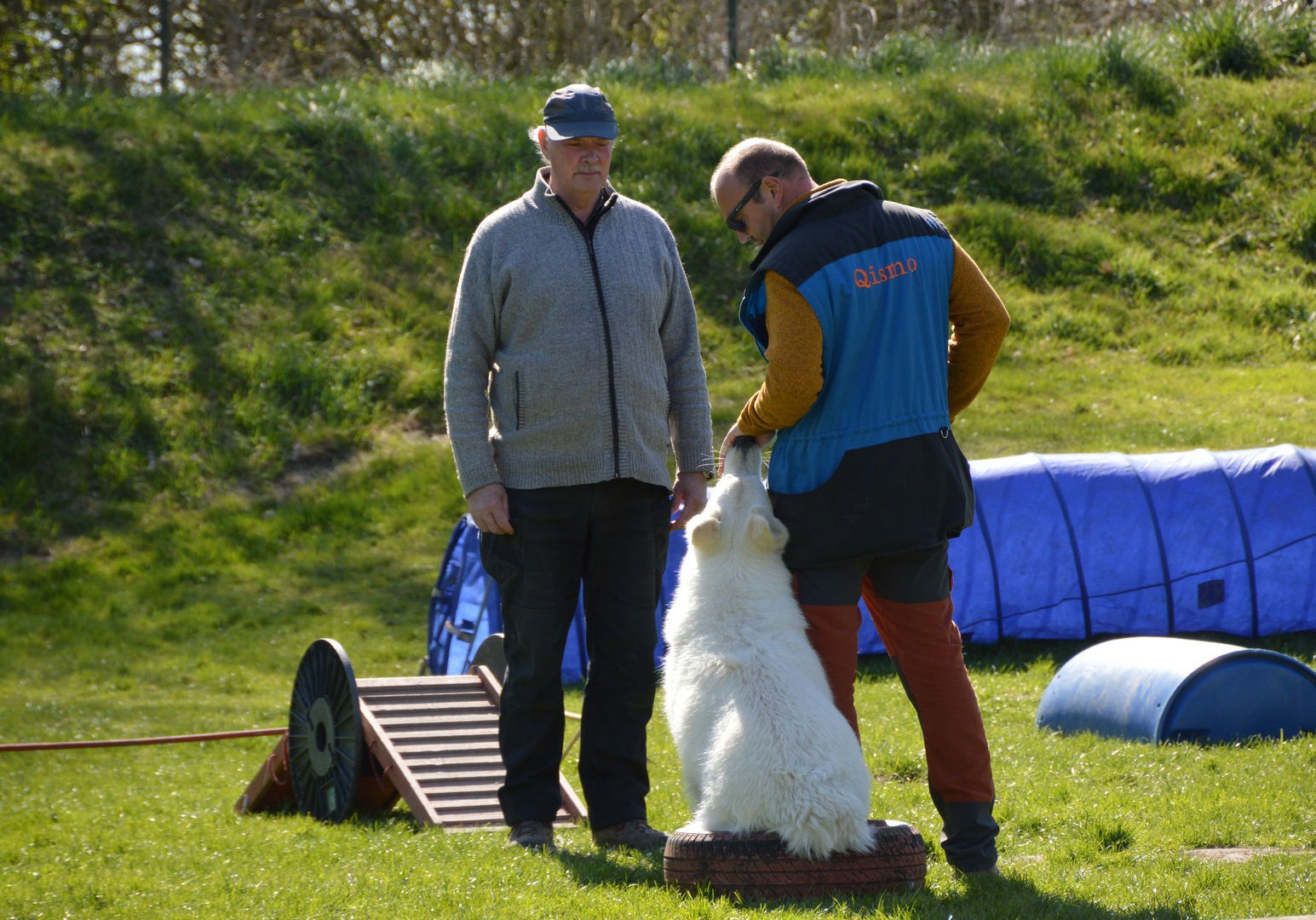 DSC_0161.jpg